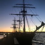 Jake Maughan - @maughanancestry - Instagram