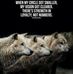 Jake Max - Facebook