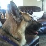 Jake Mayer - @jake_mayer_6 - Instagram