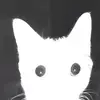 Jake Mayer - @jake.mayer - TikTok