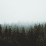 Jake Mayfield - @jakemayfield4 - Instagram