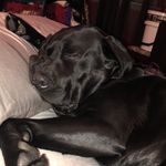 Jake Mayfield - @mayfield_jake - Instagram