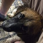 Jacob Head - @jakemayne - Instagram