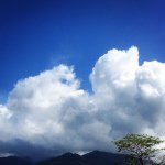 Jake - @jake_mccormack - Instagram