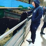 Jake Mccormack - @jake.mccormack.984 - Instagram