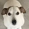 jakemcdougal106 - @crksyy - TikTok