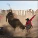 Jake McFadden: bullfighter - Facebook