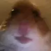 jake McIntosh - @detroitjake13 - TikTok