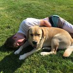 Jake McIntosh - @jakemcintosh8 - Instagram