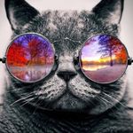 Jake Mcleod - @mcleod5991 - Instagram