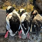 Jake Mcspadden - @hail_call_outdoors - Instagram