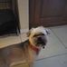 Jake Meadows - Facebook