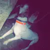 Jake meadows - @jakemeadows4450 - TikTok