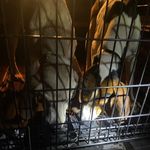 Jake Meeks - @jakemeeks07 - Instagram