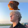 jake - @thejakemeier - TikTok