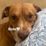 Jake Fatu - @jake_mele - Instagram