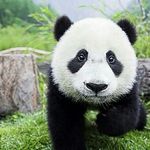 Jake Mendelson - @jake_mendelson05 - Instagram