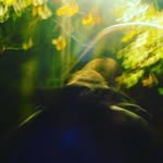 @jake_menzies - Instagram