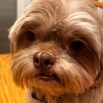 jake - @jakemerkel000 - Instagram