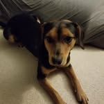 Jake Merrick - @jake.merrick16 - Instagram