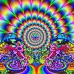 jake_merricks - @jake_merricks - Instagram