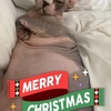 Jakemertz68 - @jakemertz68 - TikTok