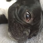 Jake Messenger - @jake_messenger11 - Instagram