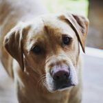 Jake Messer Photography - @jakemesserphotography - Instagram