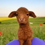 Jake Meyer - @jjakemeyer_ - Instagram