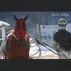 jake Meyer - @jakemeyer4569 - TikTok