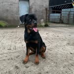 Jake Millar - @millarjake502 - Instagram