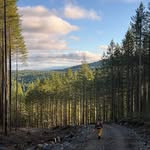 Jake Misky - @jakemisky - Instagram