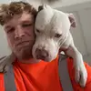 Jake Morley - @jakemorley736 - TikTok