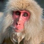 jake 4133 - @jake__macnaughton - Instagram