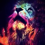Jake Naughton - @riotlion9 - Instagram