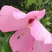Jacob Neeley - Facebook