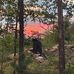 Jake Neff - Facebook