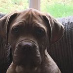 Jake_Nixon - @jakenixon123 - Instagram