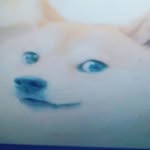 Jake Noe - @dogewitch - Instagram