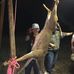 Jake Noe - Facebook
