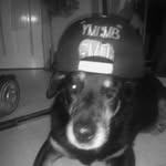 Jake Noonan - @jakenraps - Instagram