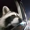 jake packard - @jake.packard6 - TikTok