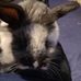 Jake Page - Facebook