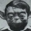 Jake Panek503 - @mcdonos558383 - TikTok