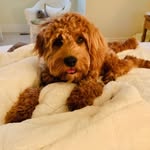 Jake Peirce - @jake_nielsen_peirce - Instagram