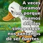 Jakelin Pelaez - @pelaezjakelin - Instagram