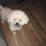 @jake_phelps_support - Instagram