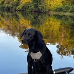 Jake - @jake.plummer_ - Instagram