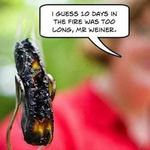 Jake Pryor - @jake_pryor1 - Instagram