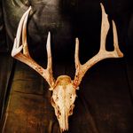 Jake Pyles - @pylesjake - Instagram